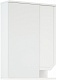 Corozo Зеркальный шкаф Сириус 55 белый – картинка-8